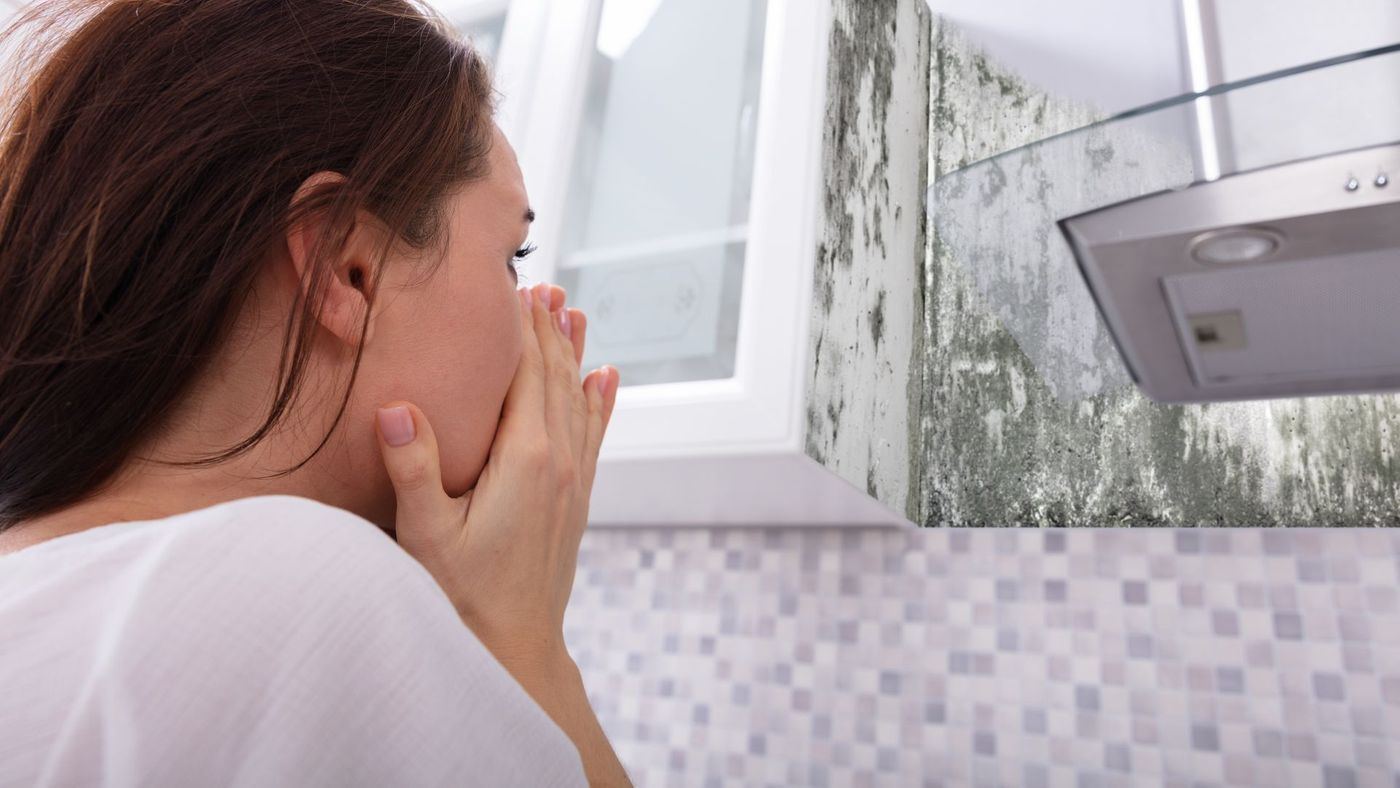 How Long Does It Take for Mold To Grow and Spread? ProKlean